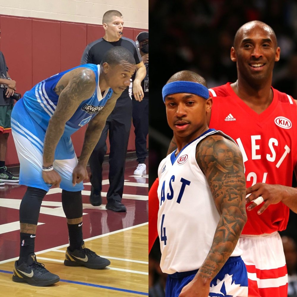 普尔面对独 普尔面对独